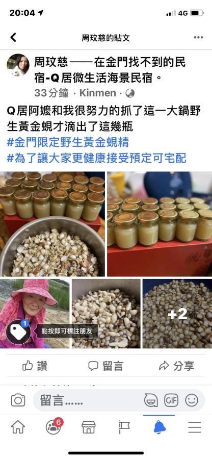 Qg Life 城中館 寵物親子釣魚人民宿 Jincheng Buitenkant foto