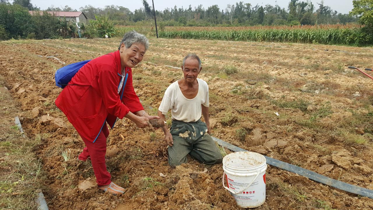 Qg Life 城中館 寵物親子釣魚人民宿 Jincheng Buitenkant foto