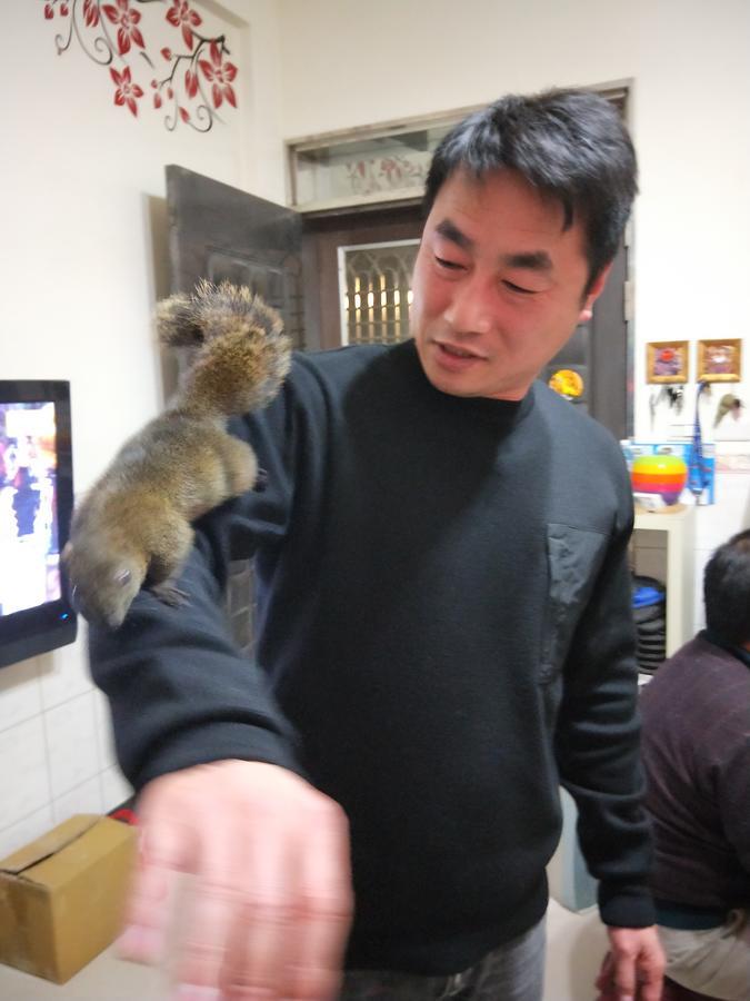 Qg Life 城中館 寵物親子釣魚人民宿 Jincheng Buitenkant foto